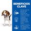Hill's Science Plan Puppy Medium Cordero y arroz Pienso para perros, , large indicador imagen numero 4